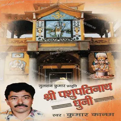 Shree Pashupati Nath Dhuni - Shailendra Bhartti album cover 