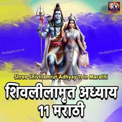 Shree Shivlilamrut Adhyay 11 In Marathi - DEEPA RANE album cover 