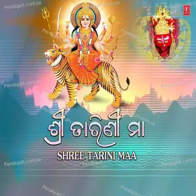 Raha Nahin Saha Nahin - Shyamapada Babula album cover 