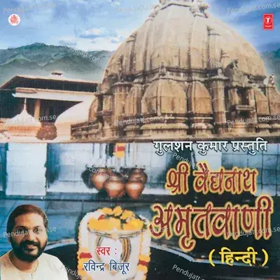 Shree Vaidhnath Amritwani - Surender Kohli album cover 