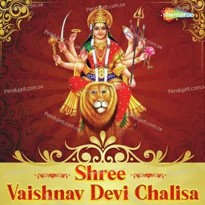 Shree Vaishnav Devi Chalisa - Kumar Vishu album cover 