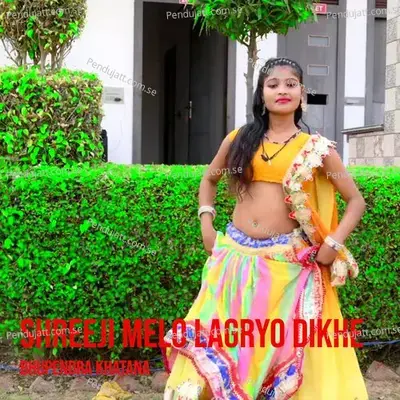 Shreeji Melo Lagryo Dikhe - Bhupendra Khatana
