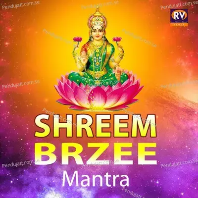 Shreem Brzee Mantra - Shrikrishna Sawant album cover 