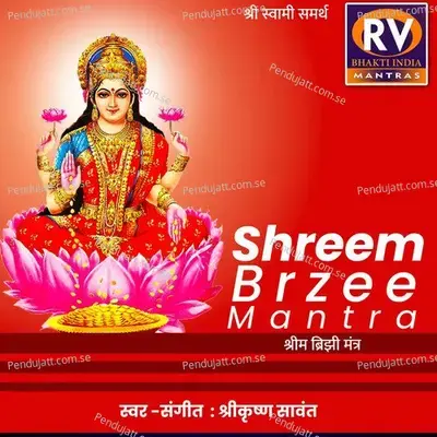 Shreem Brzee - Shrikrishna Sawant album cover 