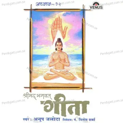 Shreemad Bhagwat Geeta - Vol. 12 - Anup Jalota cover album
