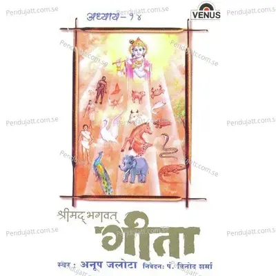 Shreemad Bhagwat Geeta - Vol. 14 - Anup Jalota cover album