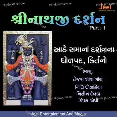 Janani Ni Jod - Tejas Shishangiya album cover 