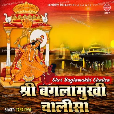 Shri Baglamukhi Chalisa - Tara Devi album cover 