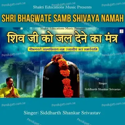 Shri Bhagwate Samb Shivaya Namah - Siddharth Shankar Srivastav album cover 