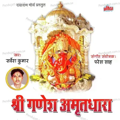 Sunkar Devi Ke Vachan Shiv Ne Kiya Malal - Sarvesh Mishra album cover 