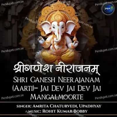 Shri Ganesh Neerajanam -Jai Dev Jai Dev Jai Mangalmoorte - Amrita Chaturvedi album cover 