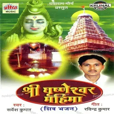 Grushneshwar Mahadev - Sarvesh Mishra album cover 