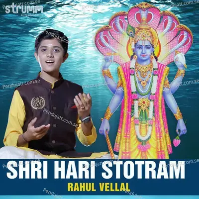 Shri Hari Stotram - Rahul Vellal album cover 