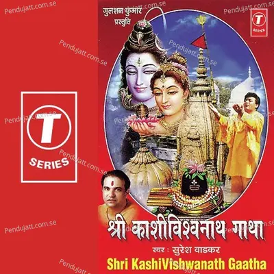 Shri Kashivishwanath Gaatha - Dhananjay Mishra album cover 