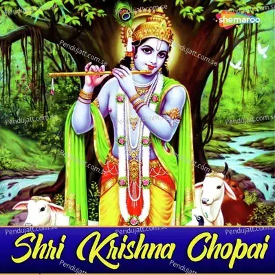 Shri Krishna Chopai Pt  4 - Ravi Tripathi album cover 