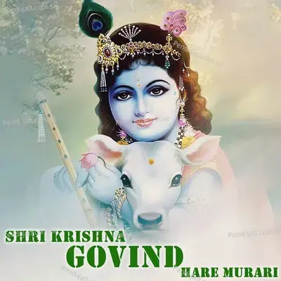 Shri Krishna Govind Hare Murari - Chotu Singh Rawna album cover 