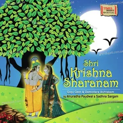 Shri Krishna Sharanam - Anuradha Paudwal cover album