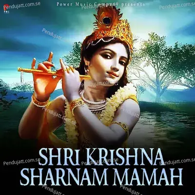 Shri Krishna Sharnam Mamah - Prakash Gandhi album cover 