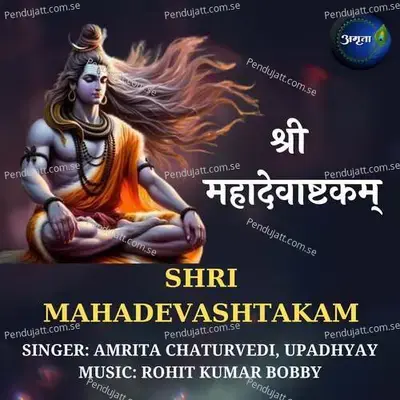 Shri Mahadevashtakam - Amrita Chaturvedi album cover 