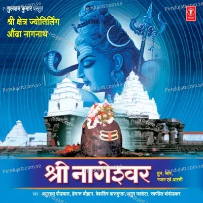 Shri Nageshwar (Dhun,Jaap,Aarti) - Anuradha Paudwal cover album