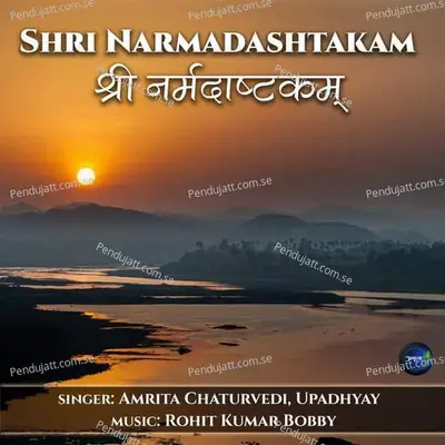 Shri Narmadashtakam - Amrita Chaturvedi album cover 