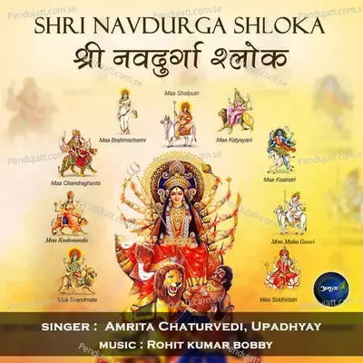 Shri Navdurga Shloka - Amrita Chaturvedi album cover 