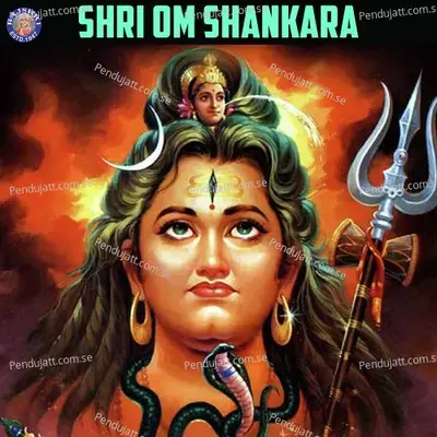 Shri Om Shankara - Various Artists cover album