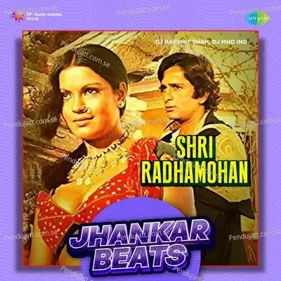 Shri Radhamohan - Jhankar Beats - DJ Harshit Shah album cover 