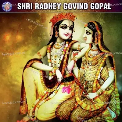 Shri Radhey Govind Gopal - Sanjeevani Bhelande cover album