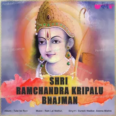 Shri Ram Chandra Kripalu Bhajman - Seema Mishra album cover 