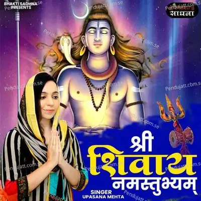 Shri Shivay Namastubhyam - Binny Narang
