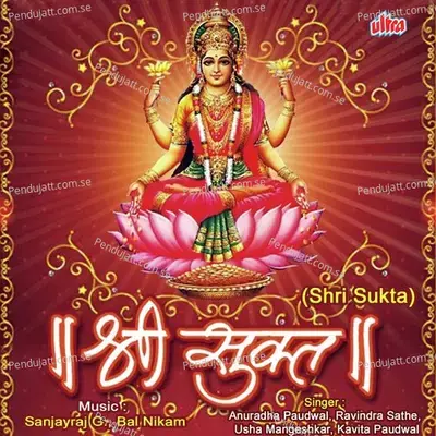 Om Mahalaxmi Namo Namah - Usha Mangeshkar album cover 
