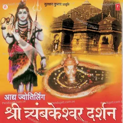 Shri Tryambakeshawar Darshan - Vikrant album cover 