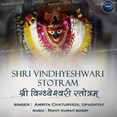 Shri Vindhyeshwari Stotram - Amrita Chaturvedi album cover 