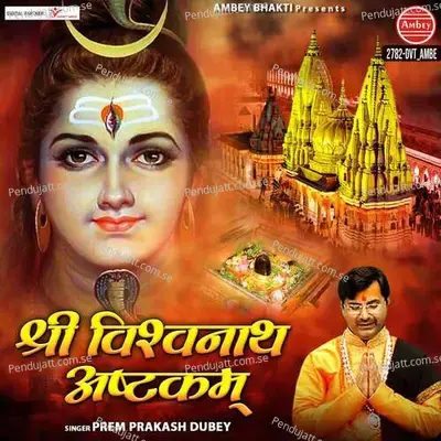 Shri Vishwanath Ashtakam - Prem Prakash Dubey album cover 