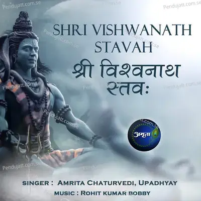 Shri Vishwanath Stavah - Amrita Chaturvedi album cover 