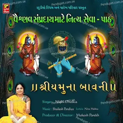 Shri Yamuna Bavni - Nidhi Dholakiya album cover 
