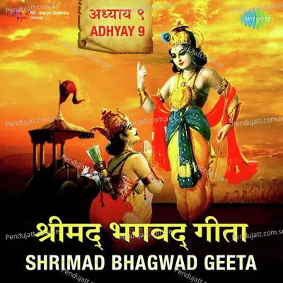 Raja Vidya Raja Guhya Yoga Intro - Shailendra Bhartti album cover 