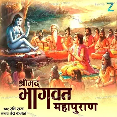 Shrimad Bhagwat Mahapuran - Ravi Raj album cover 