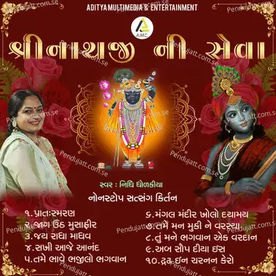 Shrinathji Ni Seva-Nonstop Satsang Kirtan - Nidhi Dholakia album cover 