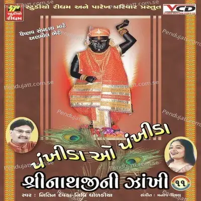 Shinathjino Bhare Chhe Latko - Nitin Devka album cover 