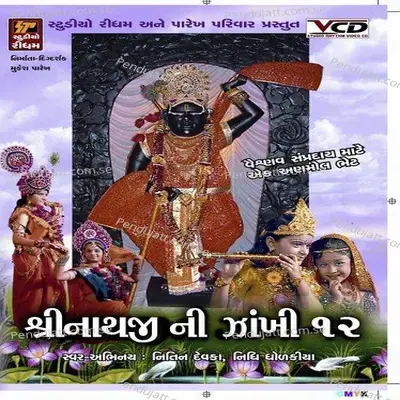 Thakorji Padhariya Mare Gher - Nidhi Dholkiya album cover 