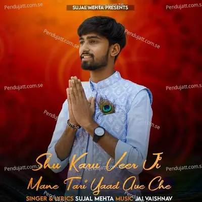 Shu Karu Veer Ji Mane Tari Yaad Ave Che - Sujal Mehta album cover 