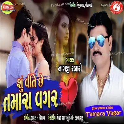 Shu Veete Chhe Tamara Vagar - Nagji Rabari album cover 