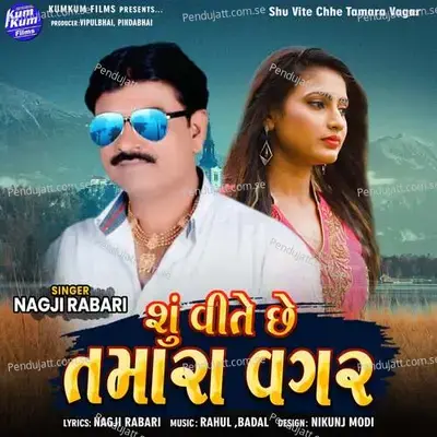 Shu Vite Chhe Tamara Vagar - Nagji Rabari album cover 