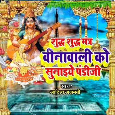 Shudh Shudh Mantra Maiya Ko Suniye Pandi Jee - Aditya Ajnabi album cover 