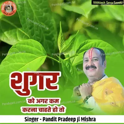 Shugar Ko Agar Kam Karna Chahte Ho To - Pandit Pradeep Ji Mishra album cover 