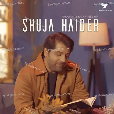 Baanware - Shuja Haider album cover 