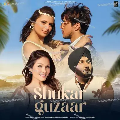 Shukar Guzaar - Sanjeev Chaturvedi album cover 