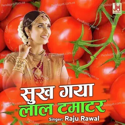 Shukh Gya Lal Tamatar - Raju Rawal album cover 